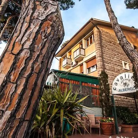 Il Cavaliere Nero 2*